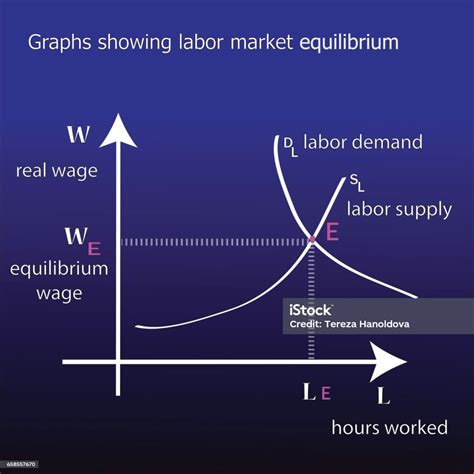 Graphs Showing Labor Market Equilibrium On Blueblack Background Vector