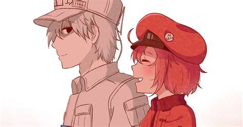 Cells At Work White Blood Cellred Blood Cell Cells At Work No