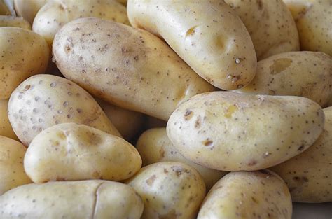 Can You Eat Raw Potatoes Well It Depends