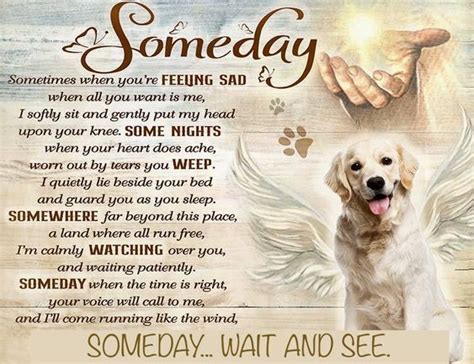 Someday Dog Heaven Quotes Dog Poems Dog Quotes Love