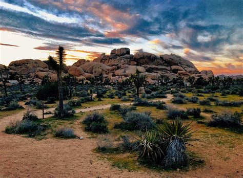 Awesome Things To Do At Joshua Tree National Park Traveler Dreams