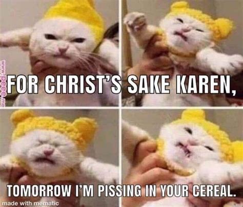 Pin By Obierachel On Karen In 2020 Karen Memes Funny Cartoons Cat Memes