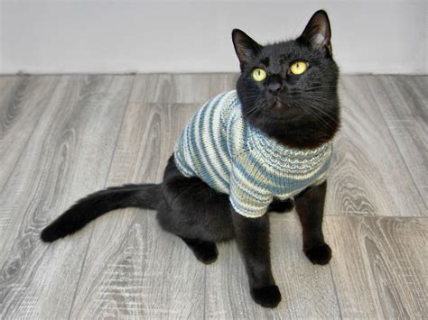 Hand Knitted Cat Sweater Striped Handmade Wool Etsy