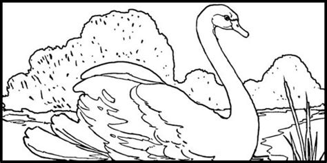 coloring pages  children karens whimsy