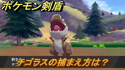 ポケモン剣盾 チゴラスを捕まえる方法！オススメの場所は？天気は？ポケモン図鑑コンプへの道！ 最新版【ポケモンソード・シールド】 Youtube