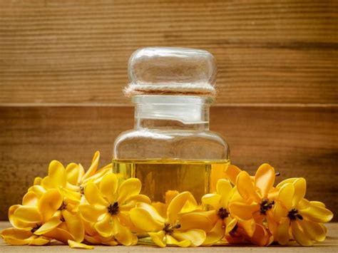9 Benefits Of Gardenia Essential Oil Organic Facts