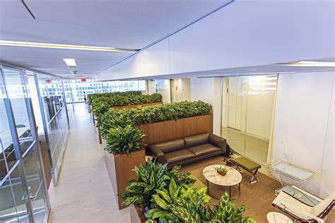 Midtown Manhattan Office Plant Display Indoor Landscaping Outdoor