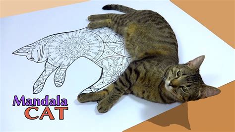 How to make / draw your mandala cat - YouTube