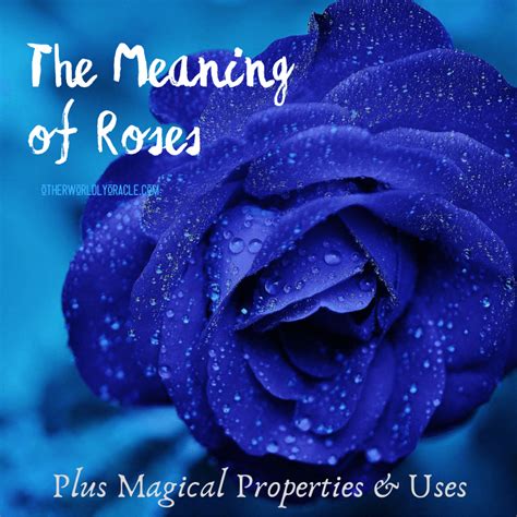 The Meaning Of Roses Each Color Roses Properties And Magick