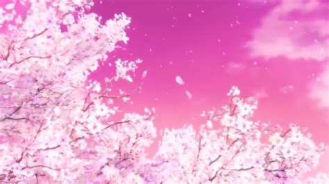 Pin By 𝐑𝐲𝐨 𝐖𝐢𝐥𝐥𝐢𝐚𝐦𝐬 On Anime Anime Cherry Blossom Anime Scenery