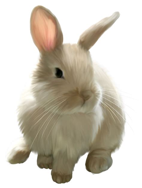 Cute Painted Bunny Png Picture Clipart Gallery Yopriceville High