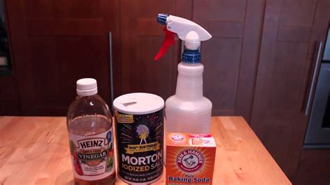 Natural Homemade Flea And Tick Repellent For Dogs