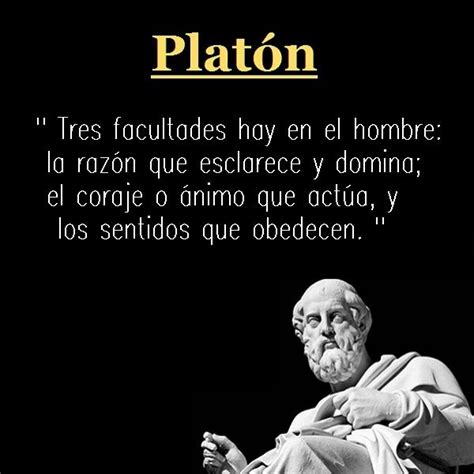 Platon Imagen 10 Frases Sabias Frases Motivadoras Frases Positivas