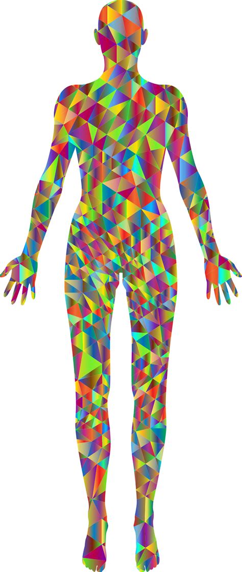 Human Body Outline Cuerpo Humano De Frente Para Colorear Hd Png Images