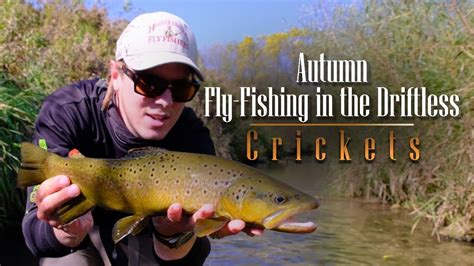 Autumn Fly Fishing In The Driftless Crickets Youtube