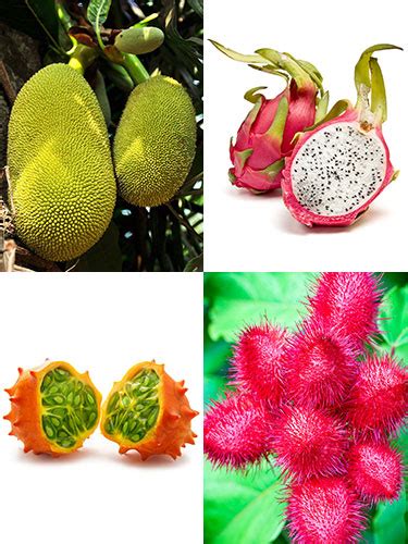 11 unusual fruits you should try on your next trip. Strange Fruits - Weird Fruit