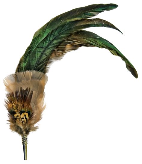 Feather Png File Png All Png All