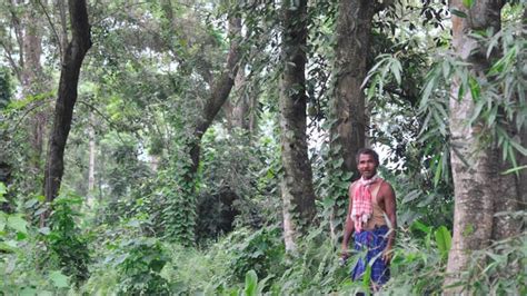 Extraordinary Indians How Forest Man Of India Jadav Payeng