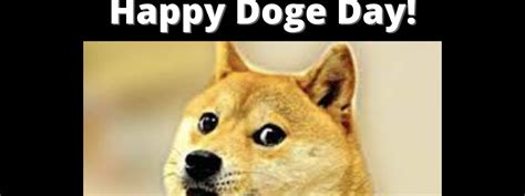 Doge Day Datadriveninvestor
