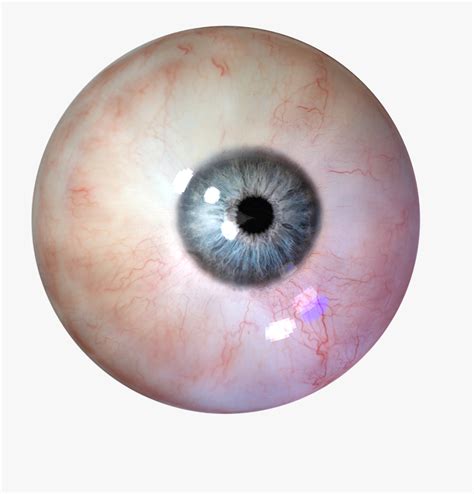 Eyeball Clipart Coloured Eye Human Eye Transparent Background