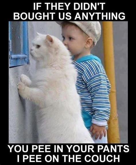 You Pee In Your Pants I Pee On The Couch Funny Cat And Boy Funny Cute