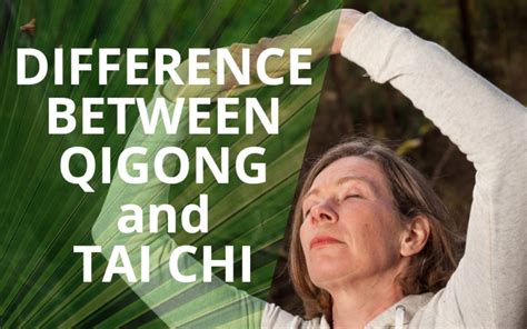 What Are The Differences Between Qigong And Tai Chi