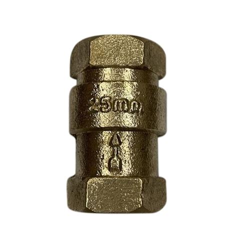 Water 25mm Brass Vertical Check Valve At Rs 145piece In Jalandhar Id