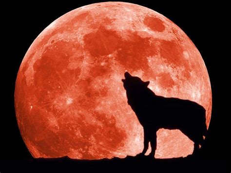 Red Moon Wallpapers Wallpaper Cave