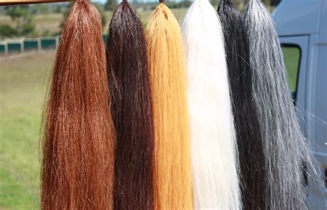 High Quality 70 76 Cm Tapered Horse Hair Extension False Horse Tail