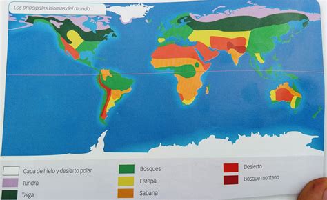 Distribución De Los Biomas En El Planeta