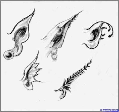 How To Draw Realistic Fairies Draw A Realistic Fairy Step By Step