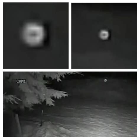 Ufo Sightings Daily Orbs Caught Coming Close To Trees At Ski Resort In Canada Ufo Sighting News