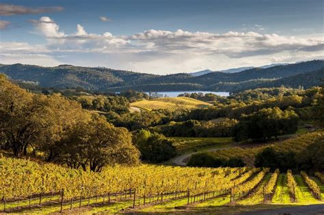 What Is The Best Month To Visit Napa Valley?