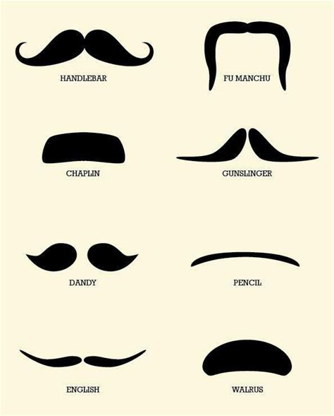Pin By Paige Jones On Illustrated Mustache Print Moustache Types Of