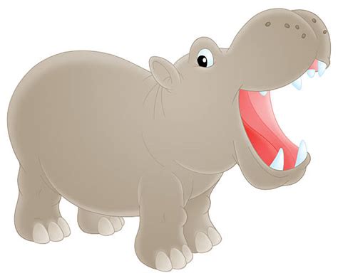 Cartoon Of A Hippo With Mouth Open Illustrations Royalty Free Vector