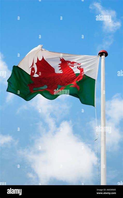 Welsh Flag Image