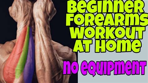 Forearms Home Workout Forearm Workout At Home No Equipment Forearms