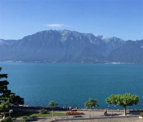 Boutique Apartments Vevey Serviced Apartments For Rent In Vevey