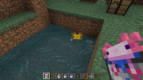 Minecraft Axolotl Pond Ideas