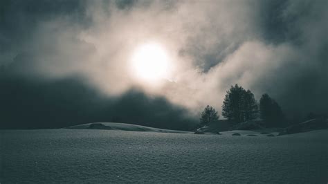 Download Wallpaper 1920x1080 Fog Snow Trees Night Full Hd Hdtv Fhd
