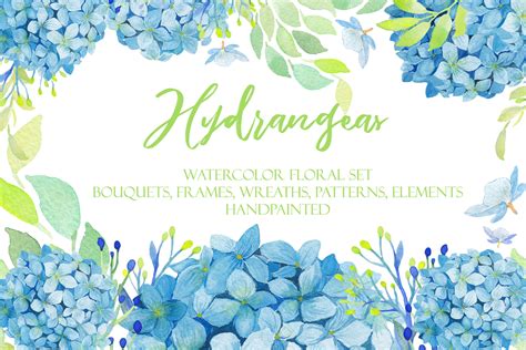 Maybe you would like to learn more about one of these? Watercolor Hydrangea Floral Clipart By ColorfulNest ...