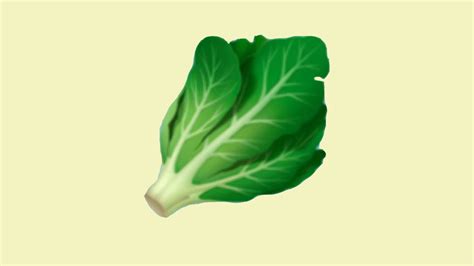 Iphone Users Now Have A Romaine Lettuce Emoji Thats Free From E Coli