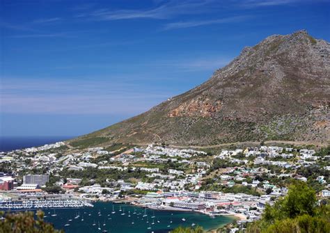 The 5 Best Simons Town Tours And Tickets 2021 Cape Town