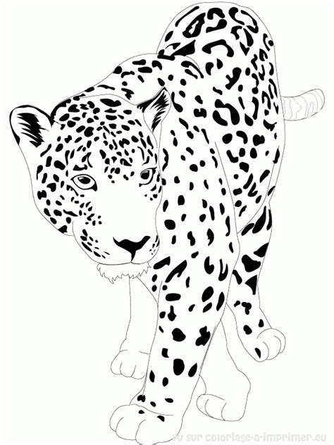 Dibujos De Jaguar 9002 Animales Para Colorear Y Pintar Páginas