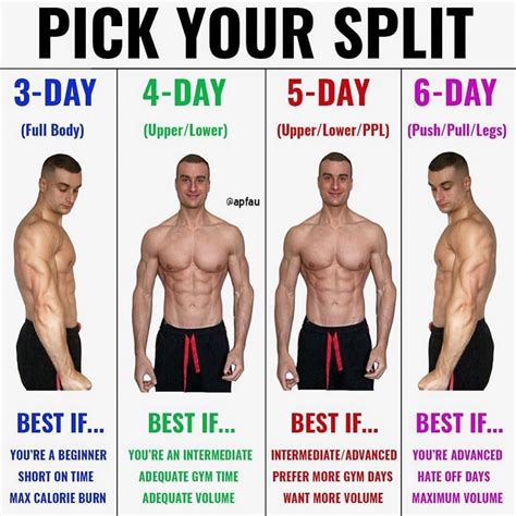 How Many Days Do You Workout Workout Splits Dumbell Workout