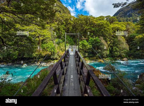 New Zealand Southland Te Anau Bridge Across Hollyford River Flowing