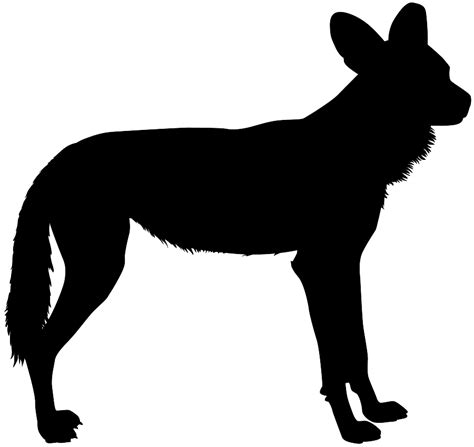 Wild Dog Silhouette | Free vector silhouettes