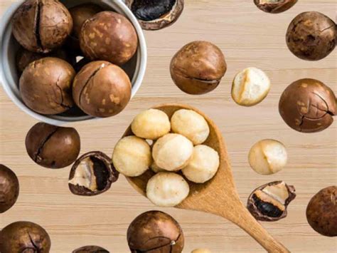 National Macadamia Nut Day September Th Enjoy History And Celebrate