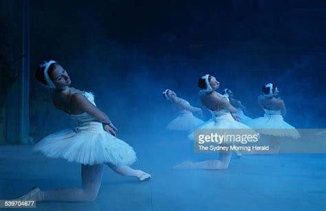 Russian National Ballet Theatre Media Call Photos And Premium High Res