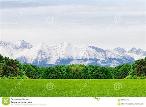 A Green Glade At The Foot Of Snow Capped Mountain Peaks A Miracle Of